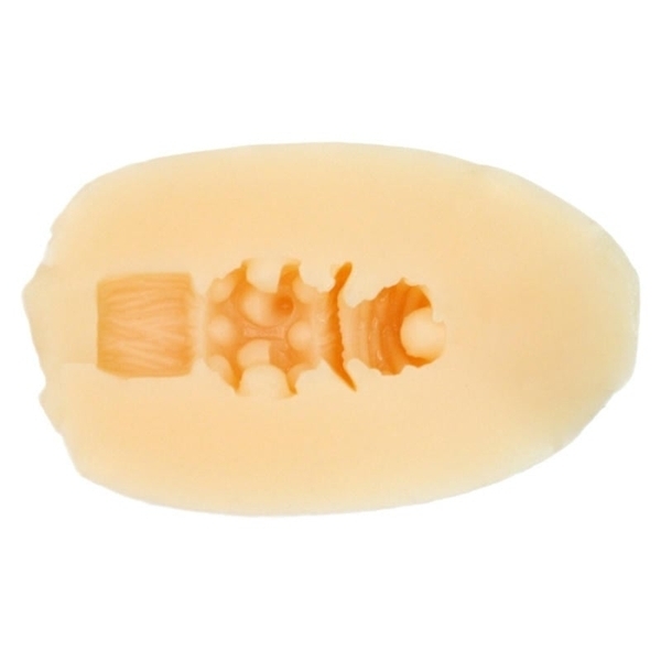 �Ö����w���J�v�Z���z�[���R���N�V�����@�{����