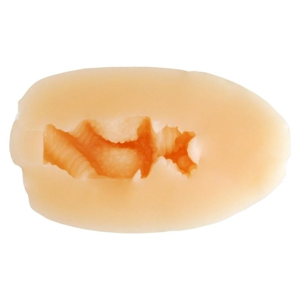 �Ö����w���J�v�Z���z�[���R���N�V�����@���I